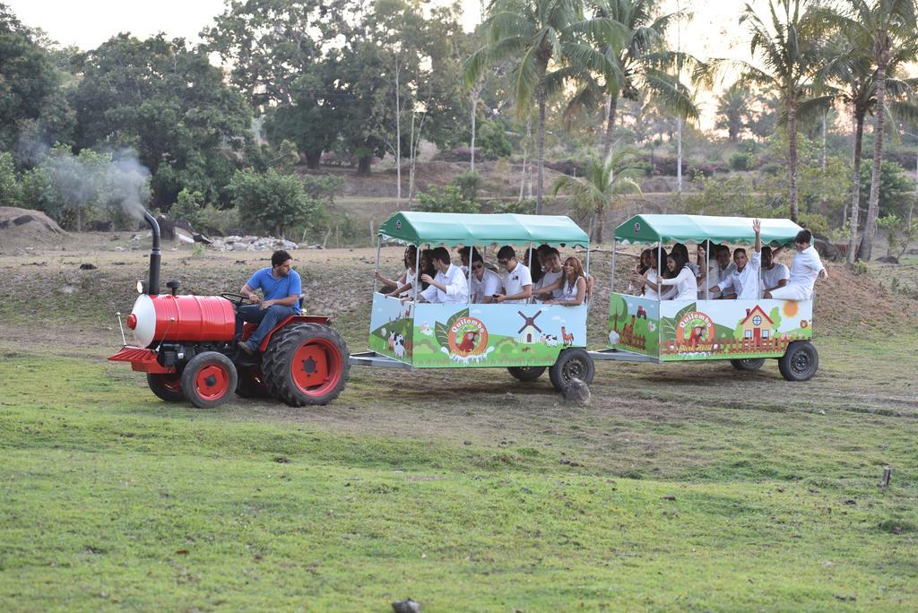 Quilombo Hotel Fazenda União dos Palmares 外观 照片